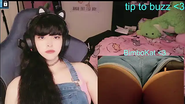 BimboCat Show in webcam