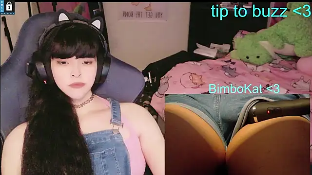 BimboCat 웹캠 쇼