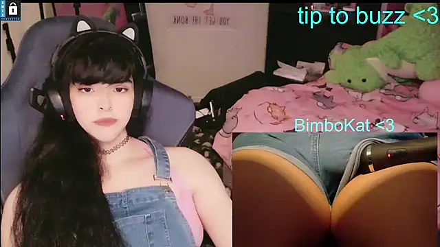 BimboCat: вебкам-шоу