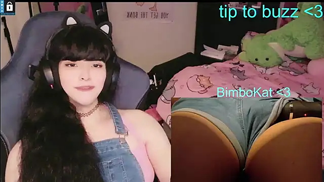 Pertunjukan Kamera Web BimboCat