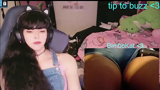 Show webcam de BimboCat