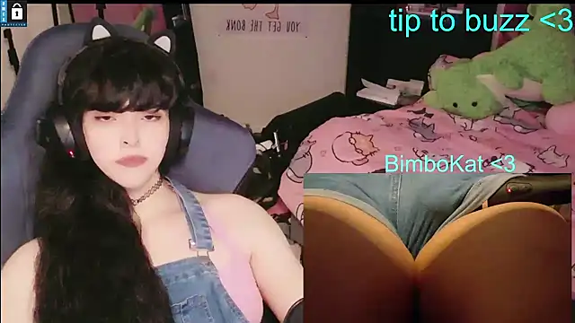 BimboCat: διαδικτυακό σόου στην κάμερα