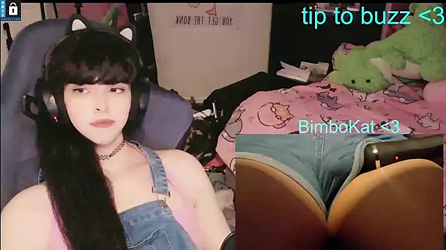 BimboCat – Kamerová  šou
