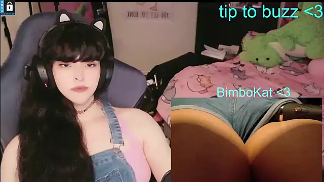 BimboCat webkamerás műsora