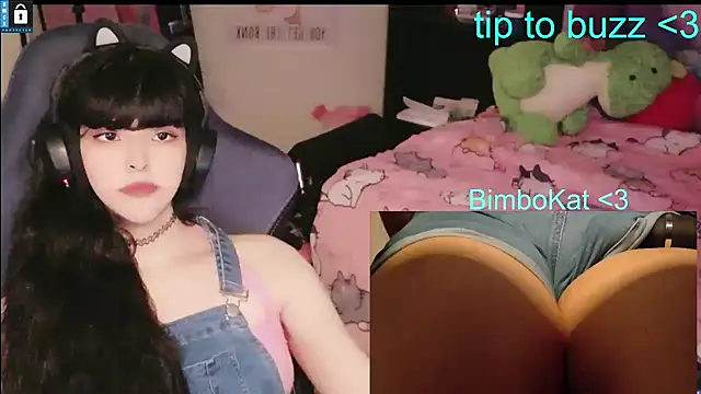 BimboCat Show in webcam