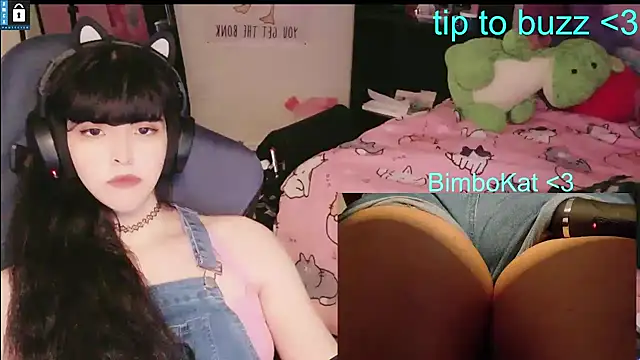 הופעת וובקאם של BimboCat