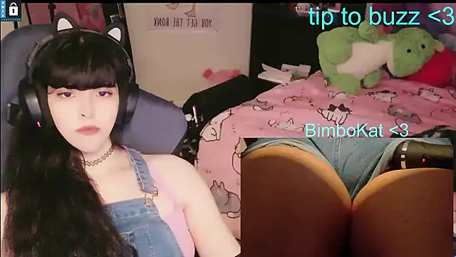 Show webcam de BimboCat