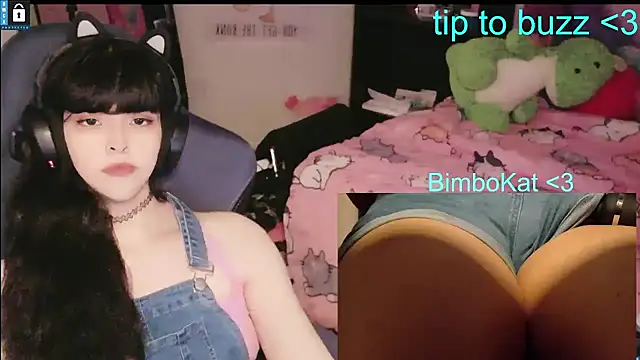 BimboCat Show in webcam