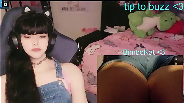 Show webcam de BimboCat