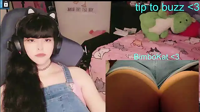 BimboCatのウェブカメラショー