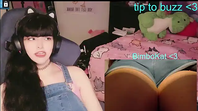 הופעת וובקאם של BimboCat