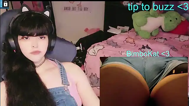 BimboCat 웹캠 쇼