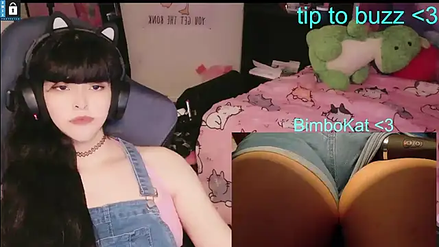 BimboCat Webcam show