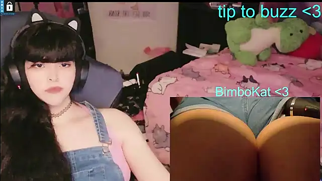 BimboCatのウェブカメラショー