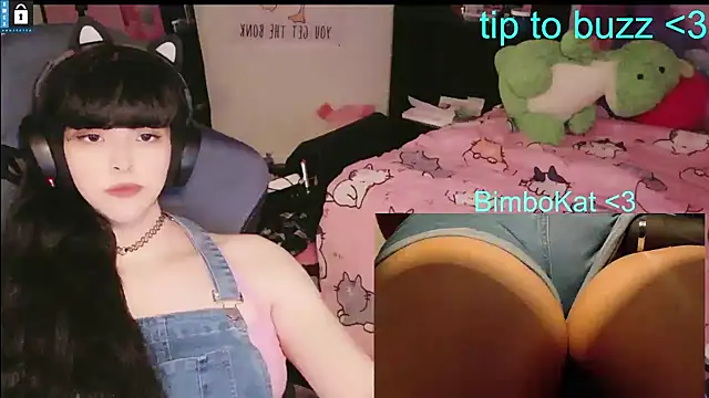Show modela BimboCat na web-kameri