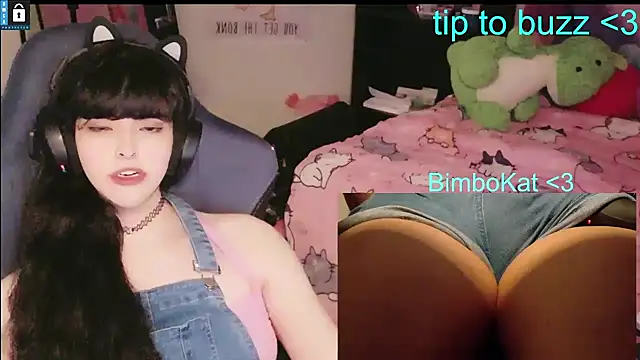 BimboCat – Kamerová šou