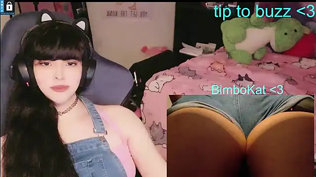 BimboCat 웹캠 쇼