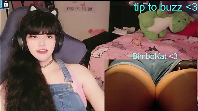 Show webcam de BimboCat