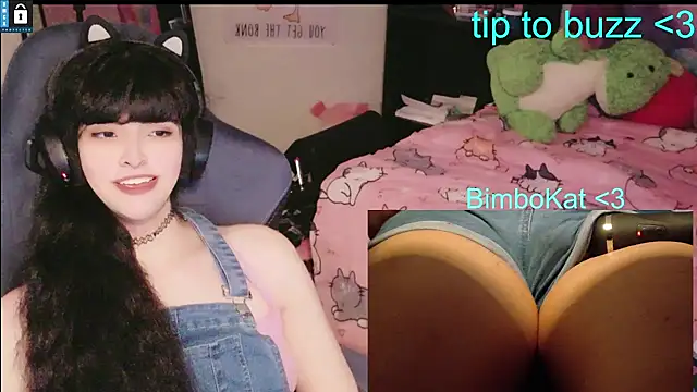BimboCat Show Webcam