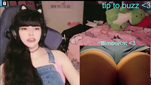 BimboCat: вебкам-шоу