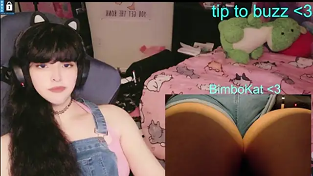 BimboCat 网络视讯表演