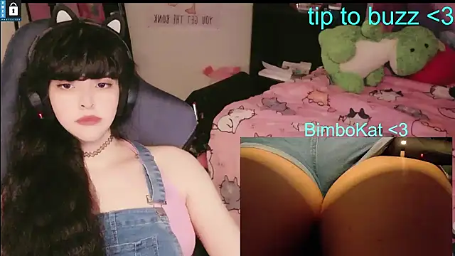 BimboCat Webcamshow