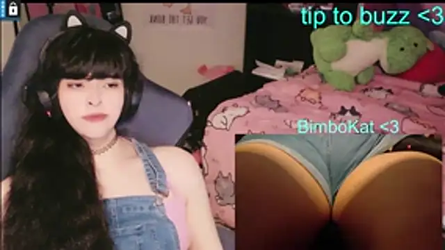 BimboCat: вебкам-шоу