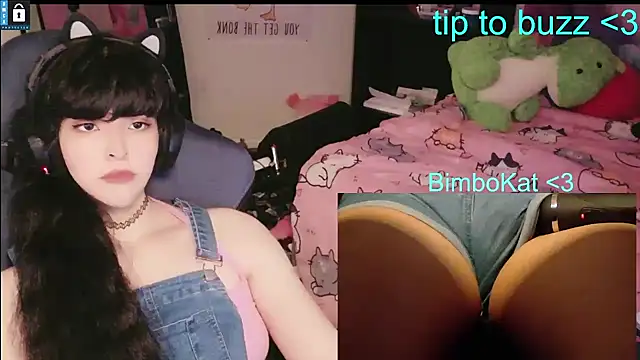 Show Webcam de BimboCat