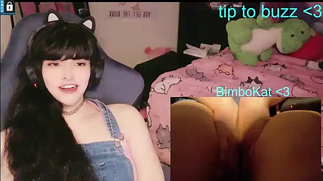 BimboCat Pertunjukan Webcam
