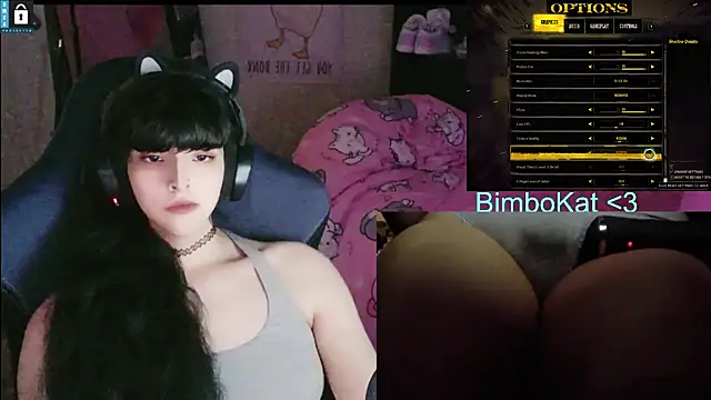 BimboCat 웹캠 쇼