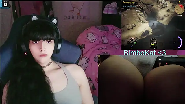 BimboCat Show Webcam