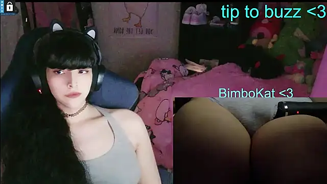 BimboCat 网络视讯表演