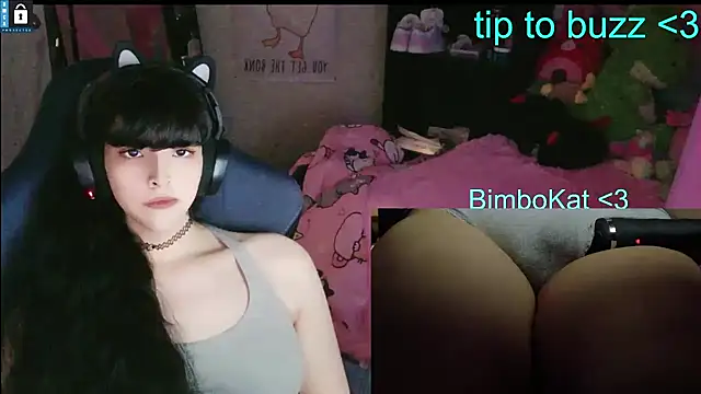 BimboCat webkamerás műsora