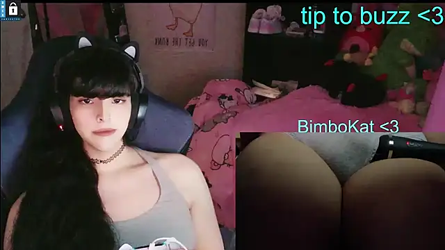 BimboCat Show in webcam