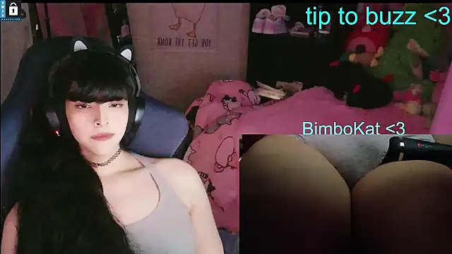 BimboCat's Webcam Show