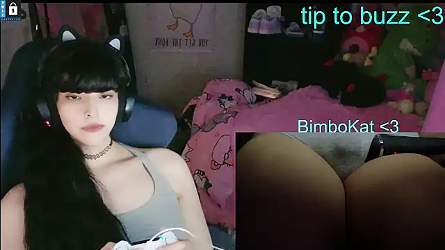 הופעת וובקאם של BimboCat