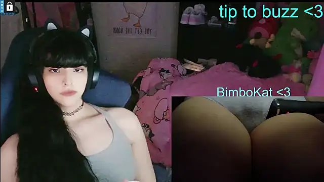 BimboCatのウェブカメラショー