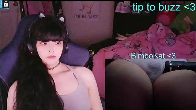 BimboCat Show in webcam