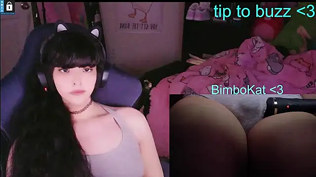 عرض كام BimboCat