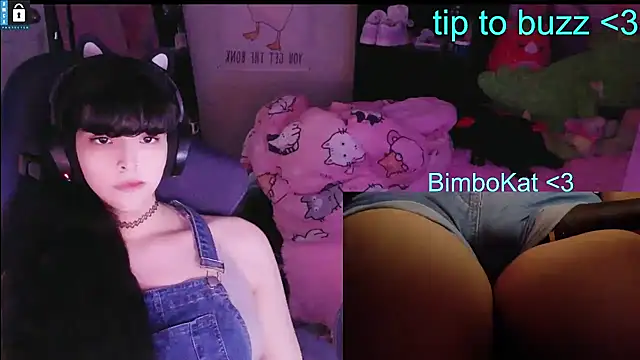BimboCat's Webcam Show
