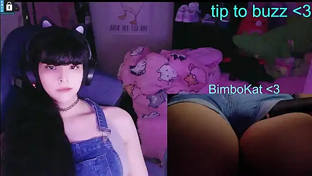 BimboCat: вебкам-шоу