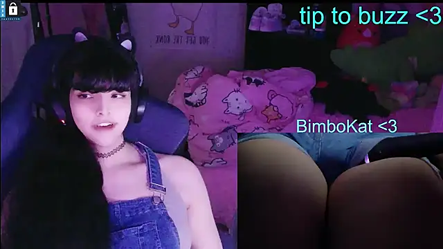 BimboCat Show in webcam