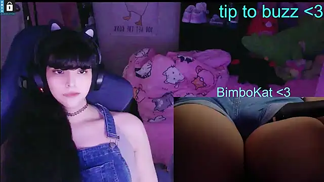 BimboCatのウェブカメラショー
