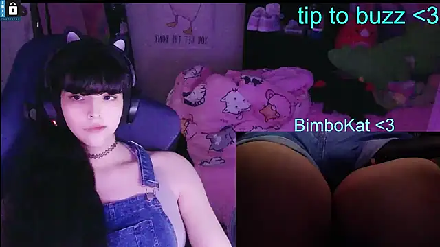 Show webcam de BimboCat