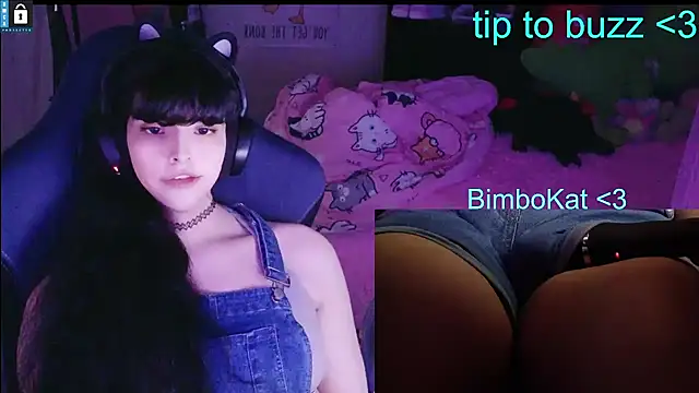 Show Webcam de BimboCat