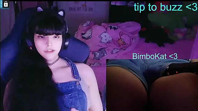 BimboCat 웹캠 쇼