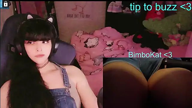 הופעת וובקאם של BimboCat