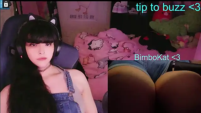 BimboCat webkamerás műsora