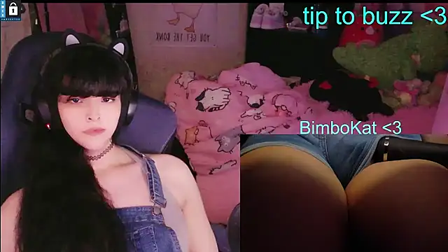 BimboCat's Webcam Show