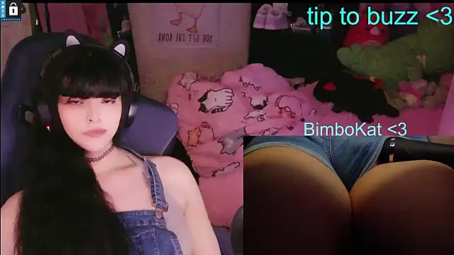 BimboCat – webcam-show